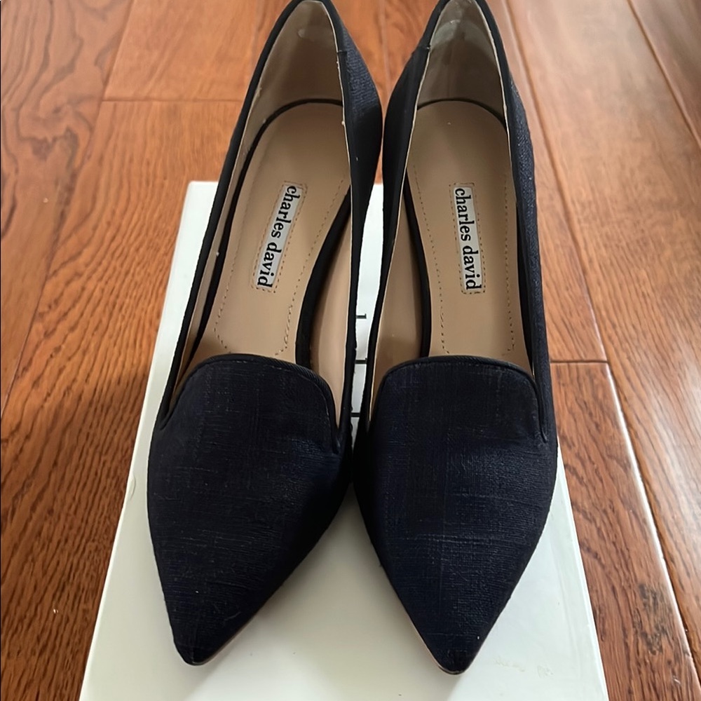 Charles David Amari Blue Pointed-Toe Heels - Picture 2 of 10
